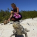 iguana_cuban_jar_v_1724_cub3668.jpg
